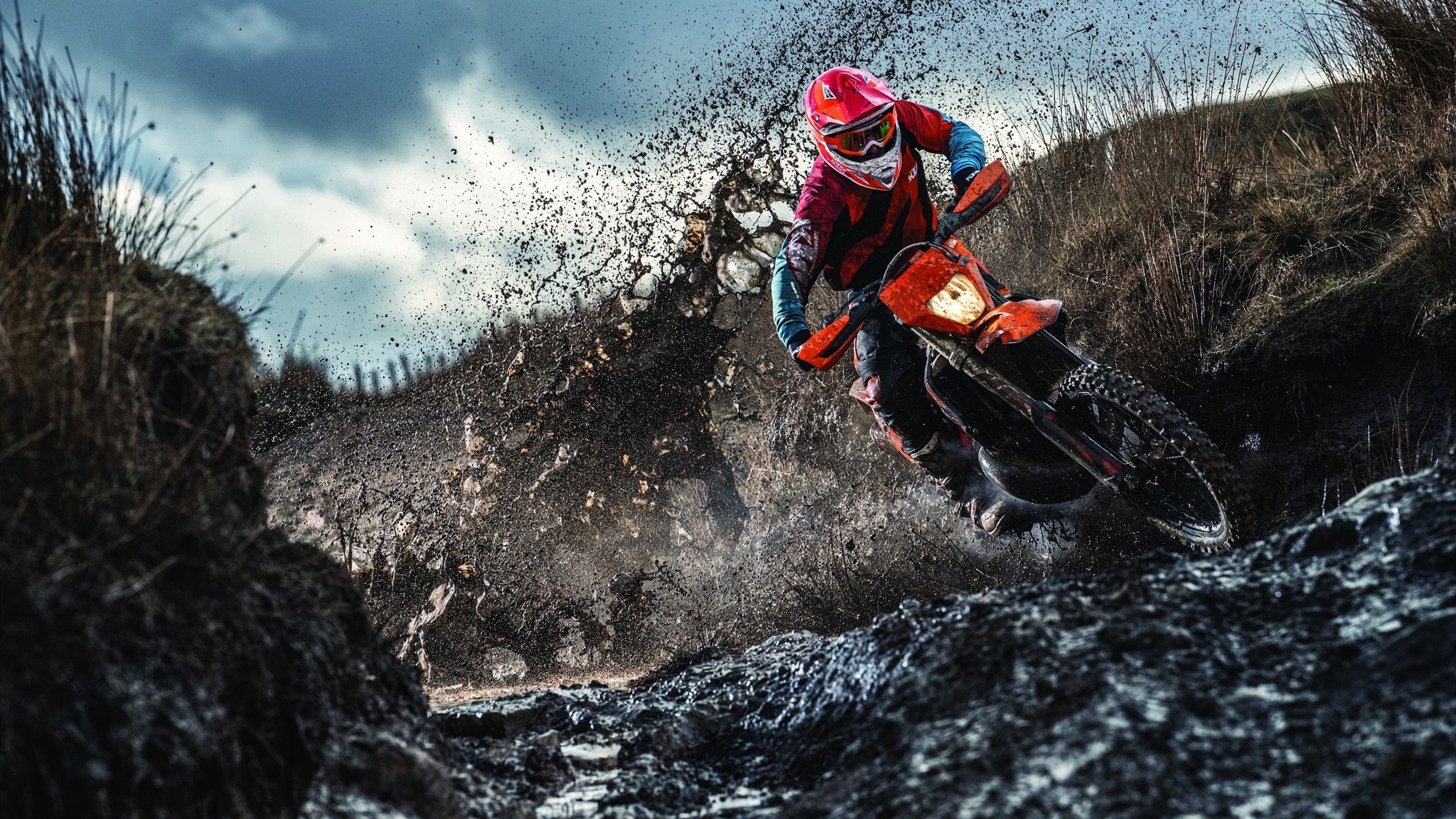 流浪者主帅谈球队目标：重返欧冠赛场，流浪者足球俱乐部官网